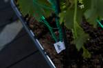green basics jardiniere treillis 80cm living noir